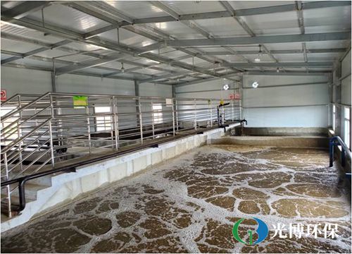养殖污水处理设备 养殖污水处理设备
